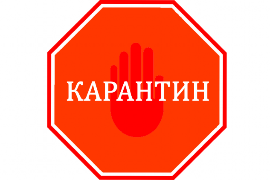 КАРАНТИН!